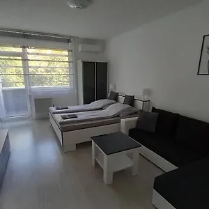 Grey Harmony , Debrecen Magyarország